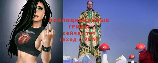 экстази Алексин