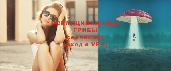 твердый Алзамай