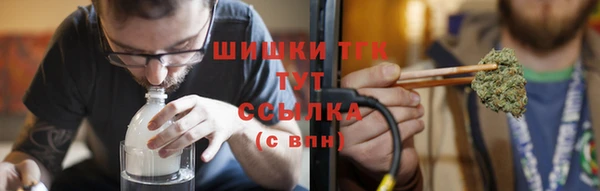 твердый Алзамай