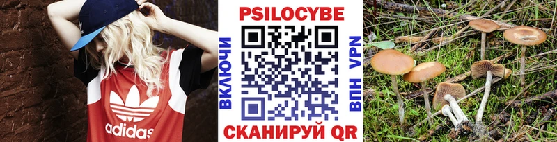 Галлюциногенные грибы GOLDEN TEACHER  наркота  ОМГ ОМГ как зайти  Нижняя Салда 